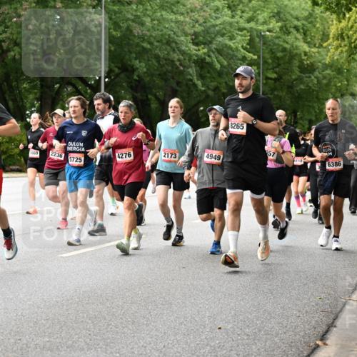 06.09.2026 - CURREX Alsterlauf Dr. Thomas Lammeyer http://msf.ph/oto/10115938 06.09.2026 09:11:54 Laufen 3442, 3550, 4462, 5669, 2236, 4276, 2173, 4949, 5725, 8265, 57, 4110, 6386, 3825 meine-sportfotos.de