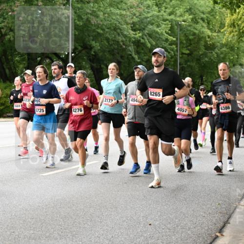 06.09.2026 - CURREX Alsterlauf Dr. Thomas Lammeyer http://msf.ph/oto/10115939 06.09.2026 09:11:54 Laufen 8265, 2173, 494, 4110, 5725, 4276, 4057, 3550, 4462, 5669, 223, 6386, 3825 meine-sportfotos.de