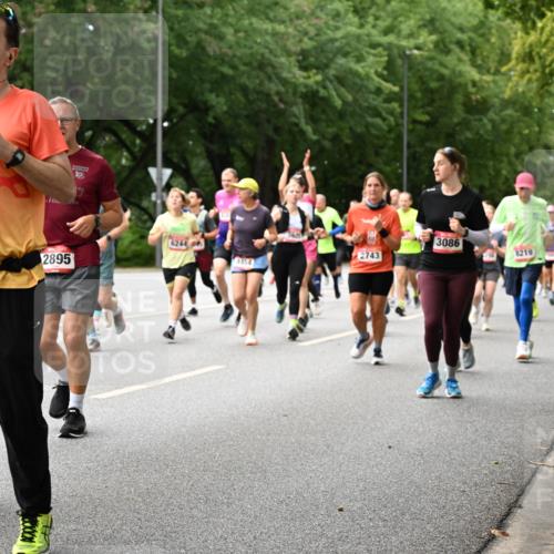 06.09.2026 - CURREX Alsterlauf Dr. Thomas Lammeyer http://msf.ph/oto/10116004 06.09.2026 09:12:03 Laufen 337, 111, 19, 6244, 2743, 2895, 4454, 3086, 8219, 5071 meine-sportfotos.de