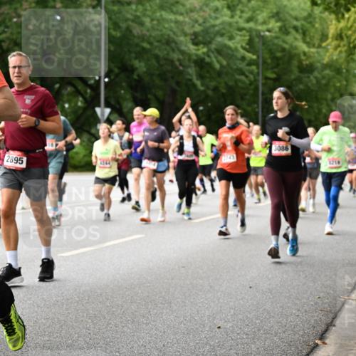 06.09.2026 - CURREX Alsterlauf Dr. Thomas Lammeyer http://msf.ph/oto/10116005 06.09.2026 09:12:04 Laufen 11, 2895, 2743, 3086, 1219 meine-sportfotos.de