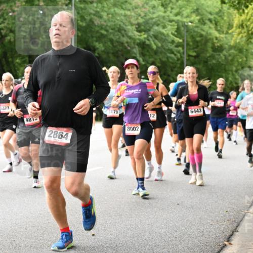06.09.2026 - CURREX Alsterlauf Dr. Thomas Lammeyer http://msf.ph/oto/10116054 06.09.2026 09:12:10 Laufen 6491, 3, 5373, 481, 2864, 3179, 8002, 6443, 5683, 12 meine-sportfotos.de