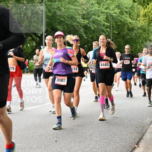 06.09.2026 - CURREX Alsterlauf Dr. Thomas Lammeyer http://msf.ph/oto/10116058 06.09.2026 09:12:11 Laufen 2864, 275, 277, 8002, 312, 3841, 6443, 4337, 401, 432, 5583 meine-sportfotos.de