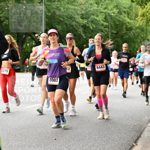 06.09.2026 - CURREX Alsterlauf Dr. Thomas Lammeyer http://msf.ph/oto/10116059 06.09.2026 09:12:11 Laufen 64, 5275, 179, 8002, 12, 402, 6443, 4337, 3841, 32, 83 meine-sportfotos.de