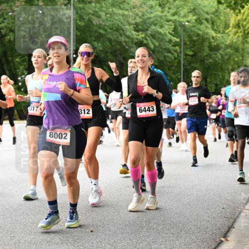 06.09.2026 - CURREX Alsterlauf Dr. Thomas Lammeyer http://msf.ph/oto/10116061 06.09.2026 09:12:11 Laufen 5275, 317, 3841, 312, 6443, 0, 2337, 8002 meine-sportfotos.de
