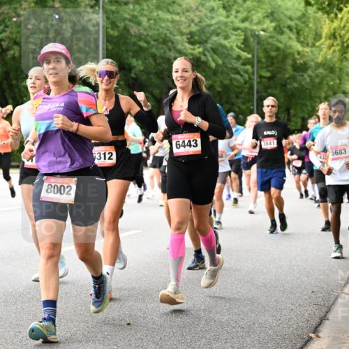 06.09.2026 - CURREX Alsterlauf Dr. Thomas Lammeyer http://msf.ph/oto/10116062 06.09.2026 09:12:11 Laufen 5275, 8002, 6443, 312, 3841, 5683 meine-sportfotos.de