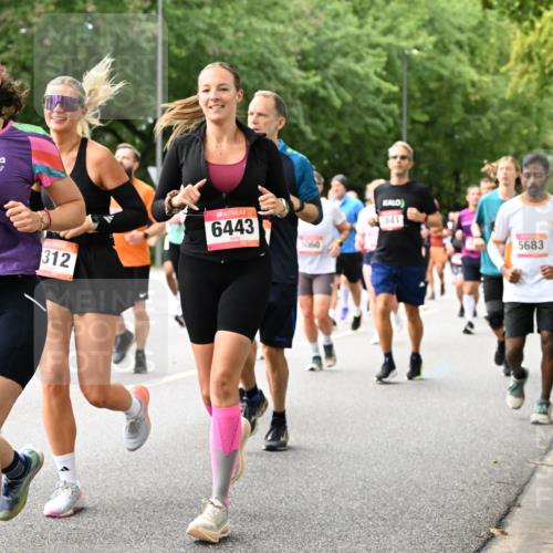 06.09.2026 - CURREX Alsterlauf Dr. Thomas Lammeyer http://msf.ph/oto/10116065 06.09.2026 09:12:12 Laufen 8002, 312, 6443, 5060, 3841, 5683 meine-sportfotos.de