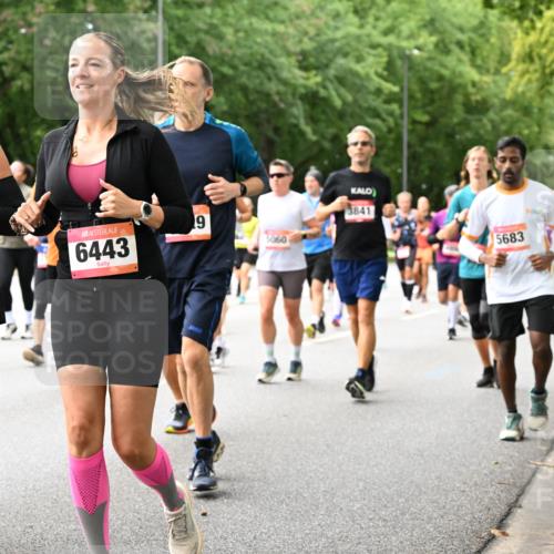 06.09.2026 - CURREX Alsterlauf Dr. Thomas Lammeyer http://msf.ph/oto/10116068 06.09.2026 09:12:12 Laufen 6312, 6443, 9, 5060, 5841, 5683 meine-sportfotos.de
