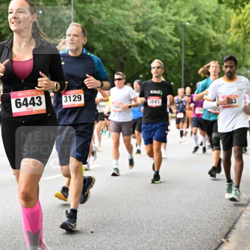 06.09.2026 - CURREX Alsterlauf Dr. Thomas Lammeyer http://msf.ph/oto/10116069 06.09.2026 09:12:12 Laufen 3129, 3841, 1960, 6443 meine-sportfotos.de