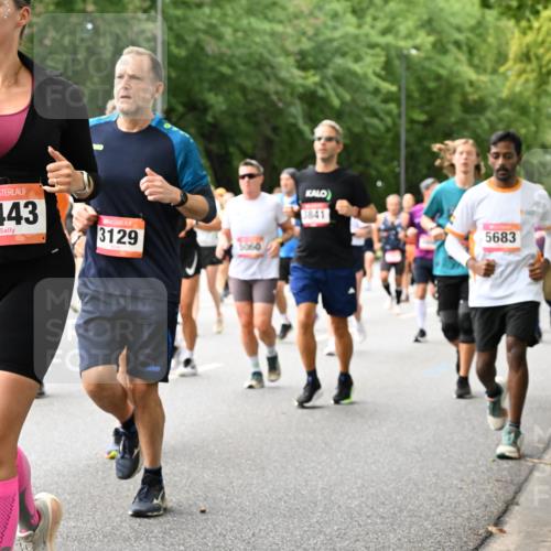 06.09.2026 - CURREX Alsterlauf Dr. Thomas Lammeyer http://msf.ph/oto/10116070 06.09.2026 09:12:13 Laufen 6443, 3129, 3060, 3841, 5683 meine-sportfotos.de