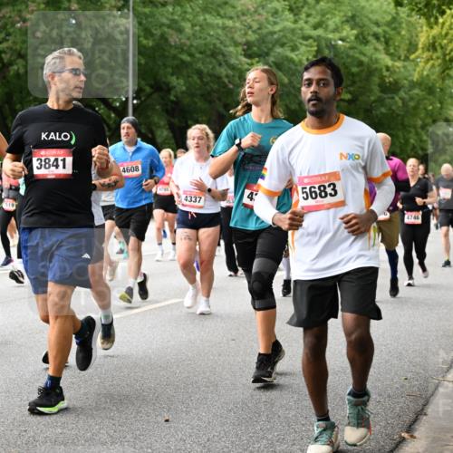 06.09.2026 - CURREX Alsterlauf Dr. Thomas Lammeyer http://msf.ph/oto/10116078 06.09.2026 09:12:14 Laufen 4478, 519, 3841, 4608, 4285, 4337, 4, 5683, 4746 meine-sportfotos.de