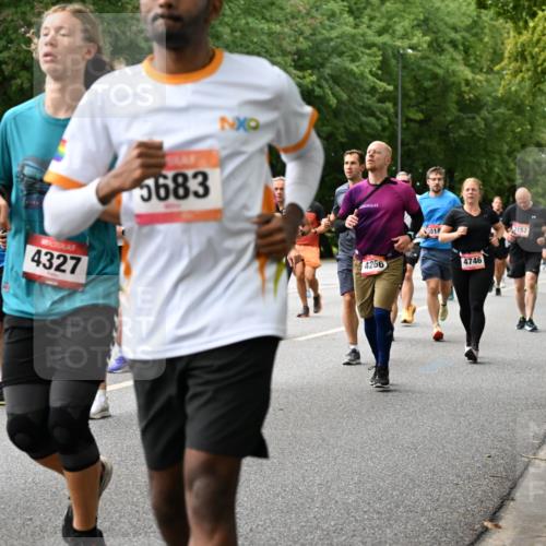 06.09.2026 - CURREX Alsterlauf Dr. Thomas Lammeyer http://msf.ph/oto/10116086 06.09.2026 09:12:15 Laufen 350, 4327, 5683, 4266, 018, 4746, 2152, 3216, 8310 meine-sportfotos.de