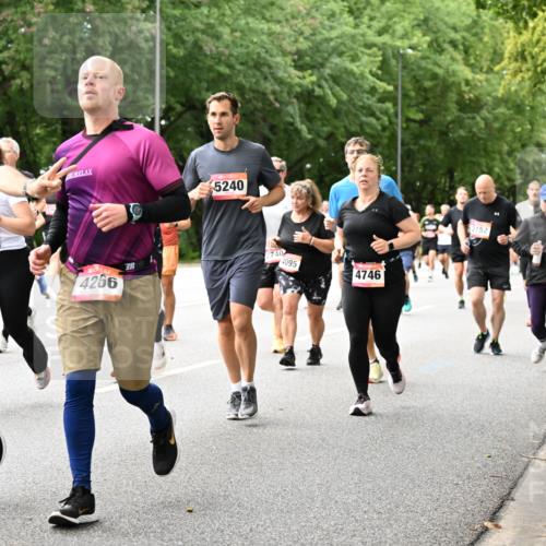 06.09.2026 - CURREX Alsterlauf Dr. Thomas Lammeyer http://msf.ph/oto/10116099 06.09.2026 09:12:16 Laufen 4956, 3532, 4266, 5240, 2740, 4095, 4746, 2152, 3216, 8319 meine-sportfotos.de