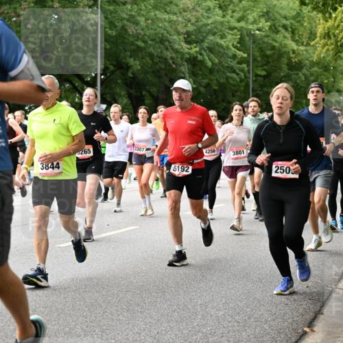 06.09.2026 - CURREX Alsterlauf Dr. Thomas Lammeyer http://msf.ph/oto/10116182 06.09.2026 09:12:27 Laufen 2251, 3844, 265, 3307, 4256, 3801, 5192, 250 meine-sportfotos.de
