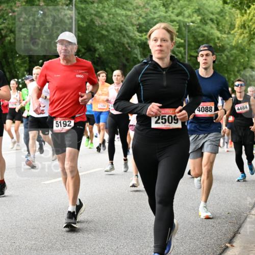 06.09.2026 - CURREX Alsterlauf Dr. Thomas Lammeyer http://msf.ph/oto/10116189 06.09.2026 09:12:28 Laufen 307, 5265, 3979, 5192, 2488, 41, 2509, 4088, 4484 meine-sportfotos.de