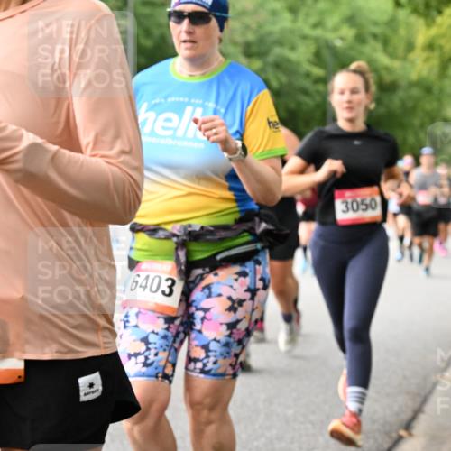 06.09.2026 - CURREX Alsterlauf Dr. Thomas Lammeyer http://msf.ph/oto/10116245 06.09.2026 09:12:35 Laufen 79, 6403, 3050 meine-sportfotos.de