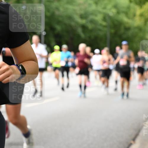 06.09.2026 - CURREX Alsterlauf Dr. Thomas Lammeyer http://msf.ph/oto/10116255 06.09.2026 09:12:37 Laufen 50 meine-sportfotos.de