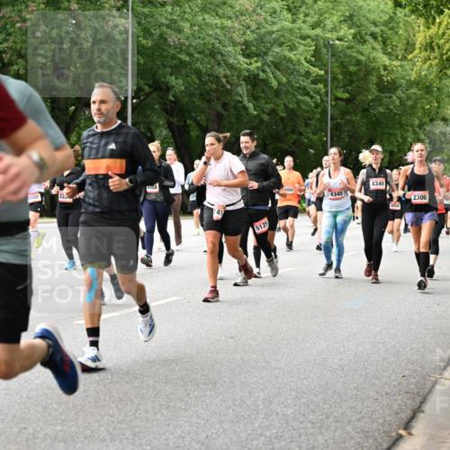 06.09.2026 - CURREX Alsterlauf Dr. Thomas Lammeyer http://msf.ph/oto/10116333 06.09.2026 09:12:48 Laufen 55, 17, 5985, 333, 4488, 41, 5125, 4884, 4345, 4348, 58, 2300 meine-sportfotos.de