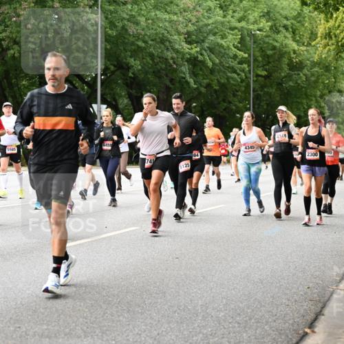 06.09.2026 - CURREX Alsterlauf Dr. Thomas Lammeyer http://msf.ph/oto/10116336 06.09.2026 09:12:48 Laufen 54, 3317, 4488, 5985, 4348, 4345, 741, 84, 5125, 2300 meine-sportfotos.de