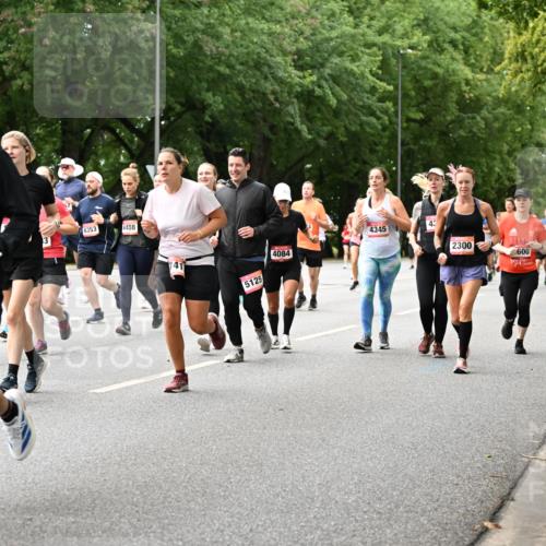 06.09.2026 - CURREX Alsterlauf Dr. Thomas Lammeyer http://msf.ph/oto/10116341 06.09.2026 09:12:49 Laufen 6353, 4488, 141, 4084, 5125, 4345, 43, 2300, 600 meine-sportfotos.de