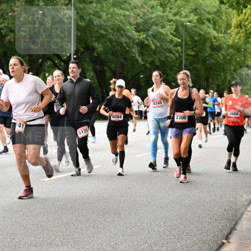 06.09.2026 - CURREX Alsterlauf Dr. Thomas Lammeyer http://msf.ph/oto/10116346 06.09.2026 09:12:50 Laufen 4533, 41, 5125, 4084, 4345, 2300, 3600 meine-sportfotos.de