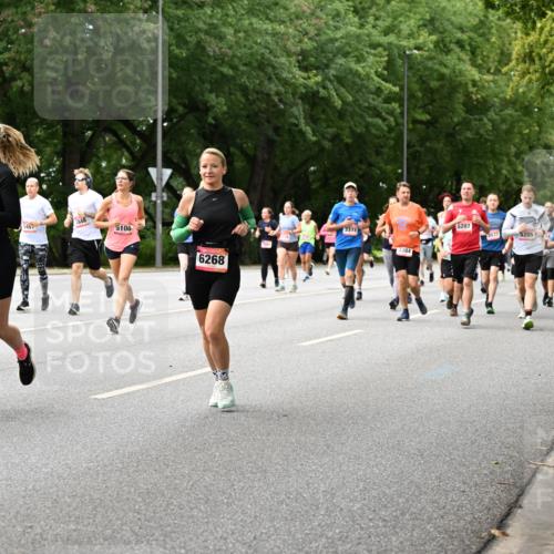 06.09.2026 - CURREX Alsterlauf Dr. Thomas Lammeyer http://msf.ph/oto/10116376 06.09.2026 09:12:53 Laufen 4884, 1883, 546, 5108, 6268, 3378, 3384, 5207, 3577, 5205, 295 meine-sportfotos.de