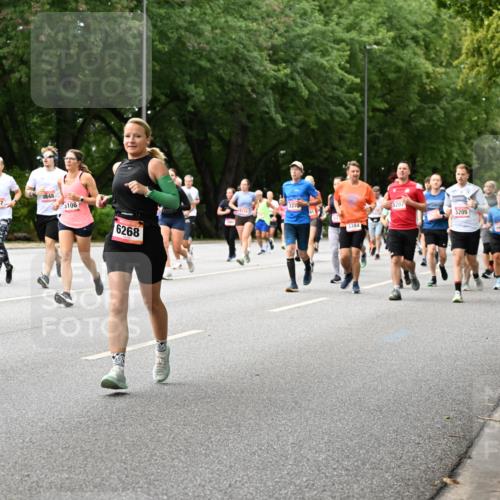 06.09.2026 - CURREX Alsterlauf Dr. Thomas Lammeyer http://msf.ph/oto/10116377 06.09.2026 09:12:54 Laufen 4883, 293, 5467, 3848, 5108, 6268, 337, 3384, 5207, 5205 meine-sportfotos.de