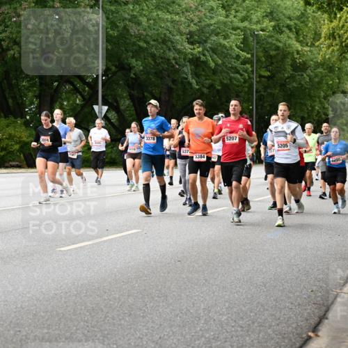 06.09.2026 - CURREX Alsterlauf Dr. Thomas Lammeyer http://msf.ph/oto/10116392 06.09.2026 09:12:55 Laufen 8, 5108, 3958, 3562, 6445, 3378, 5207, 5205, 4119, 537, 3384, 942, 3295, 3260 meine-sportfotos.de