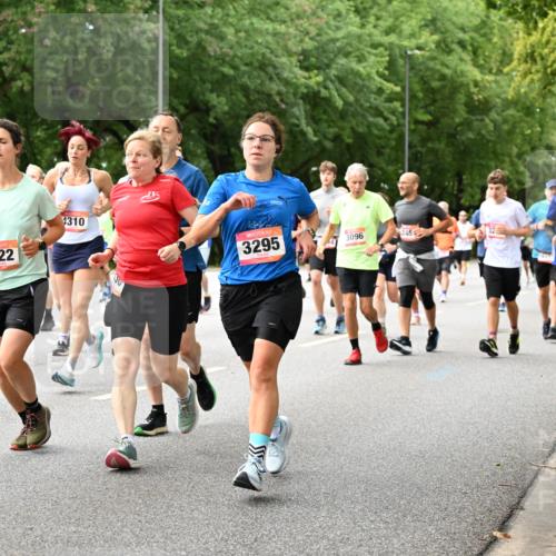 06.09.2026 - CURREX Alsterlauf Dr. Thomas Lammeyer http://msf.ph/oto/10116420 06.09.2026 09:12:59 Laufen 4119, 5377, 5622, 4310, 3295, 3096, 345, 5005 meine-sportfotos.de