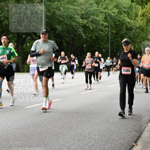 06.09.2026 - CURREX Alsterlauf Dr. Thomas Lammeyer http://msf.ph/oto/10116486 06.09.2026 09:13:07 Laufen 6483, 61, 5094, 510, 3322, 4817, 3585, 5004 meine-sportfotos.de