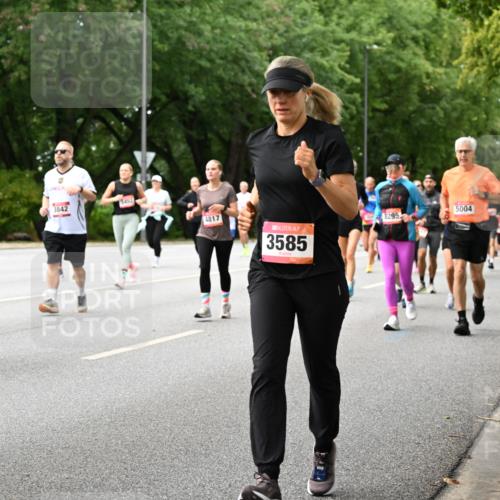 06.09.2026 - CURREX Alsterlauf Dr. Thomas Lammeyer http://msf.ph/oto/10116497 06.09.2026 09:13:08 Laufen 5106, 3842, 5452, 4817, 3585, 8295, 5004 meine-sportfotos.de