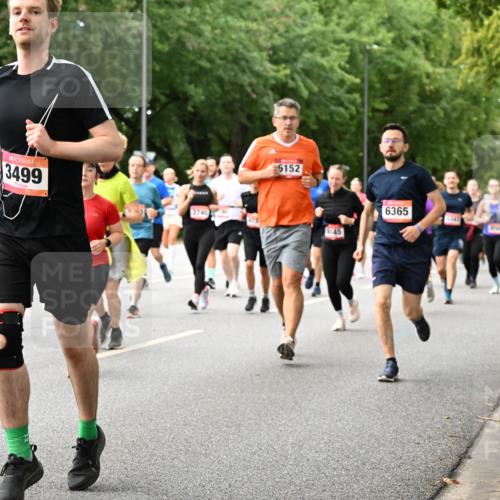 06.09.2026 - CURREX Alsterlauf Dr. Thomas Lammeyer http://msf.ph/oto/10116584 06.09.2026 09:13:19 Laufen 3499, 3740, 6152, 145, 6365, 2 meine-sportfotos.de