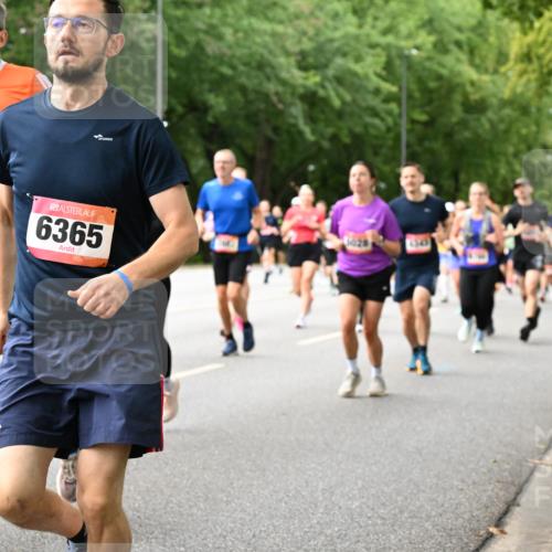 06.09.2026 - CURREX Alsterlauf Dr. Thomas Lammeyer http://msf.ph/oto/10116598 06.09.2026 09:13:21 Laufen 6152, 6365, 345 meine-sportfotos.de
