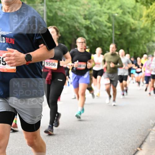 06.09.2026 - CURREX Alsterlauf Dr. Thomas Lammeyer http://msf.ph/oto/10116631 06.09.2026 09:13:26 Laufen 269, 5506 meine-sportfotos.de