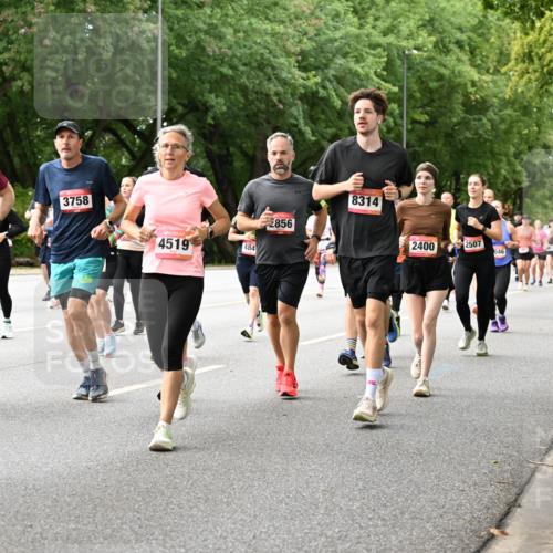 06.09.2026 - CURREX Alsterlauf Dr. Thomas Lammeyer http://msf.ph/oto/10116676 06.09.2026 09:13:33 Laufen 185, 3758, 95, 856, 4519, 484, 8314, 2400, 2507, 046, 6049 meine-sportfotos.de