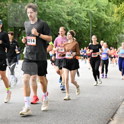 06.09.2026 - CURREX Alsterlauf Dr. Thomas Lammeyer http://msf.ph/oto/10116680 06.09.2026 09:13:34 Laufen 4519, 375, 8314, 8147, 2507, 6049, 2400, 6046 meine-sportfotos.de