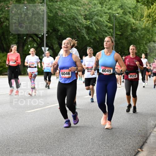 06.09.2026 - CURREX Alsterlauf Dr. Thomas Lammeyer http://msf.ph/oto/10116702 06.09.2026 09:13:37 Laufen 593, 2700, 389, 1390, 4180, 6046, 6049, 2512, 6212 meine-sportfotos.de
