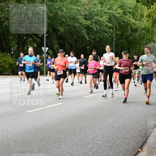 06.09.2026 - CURREX Alsterlauf Dr. Thomas Lammeyer http://msf.ph/oto/10116727 06.09.2026 09:13:40 Laufen 3390, 3777, 3721, 74077, 6460, 945, 2957, 3756, 6290, 5899, 6292, 37, 4733 meine-sportfotos.de