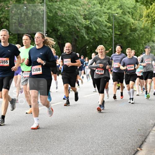 06.09.2026 - CURREX Alsterlauf Dr. Thomas Lammeyer http://msf.ph/oto/10116784 06.09.2026 09:13:48 Laufen 63, 3943, 355, 4473, 6368, 2448, 4507, 497, 5284, 733, 4229 meine-sportfotos.de