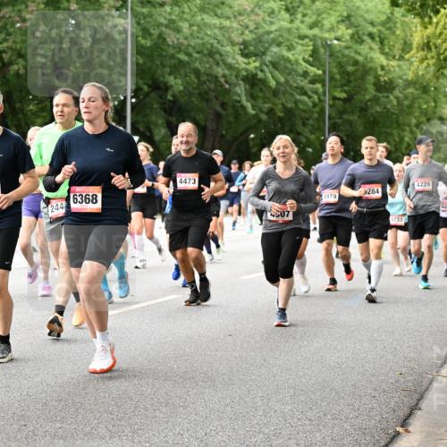 06.09.2026 - CURREX Alsterlauf Dr. Thomas Lammeyer http://msf.ph/oto/10116785 06.09.2026 09:13:48 Laufen 394, 6355, 244, 6368, 4473, 4229, 284, 4979, 4733, 6264, 1969 meine-sportfotos.de