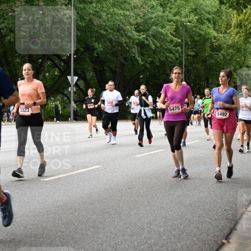 06.09.2026 - CURREX Alsterlauf Dr. Thomas Lammeyer http://msf.ph/oto/10116891 06.09.2026 09:14:01 Laufen 8208, 6179, 8243, 2323, 5328, 5475, 5492, 4872, 5557, 5539, 2195 meine-sportfotos.de