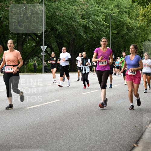 06.09.2026 - CURREX Alsterlauf Dr. Thomas Lammeyer http://msf.ph/oto/10116893 06.09.2026 09:14:01 Laufen 46179, 2323, 8243, 5475, 5492, 487, 5539, 2195 meine-sportfotos.de