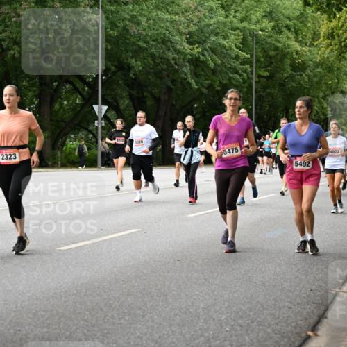 06.09.2026 - CURREX Alsterlauf Dr. Thomas Lammeyer http://msf.ph/oto/10116894 06.09.2026 09:14:01 Laufen 79, 2323, 8243, 5328, 5475, 4872, 555, 5539, 5492, 2195 meine-sportfotos.de