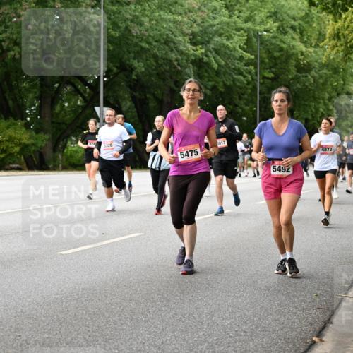 06.09.2026 - CURREX Alsterlauf Dr. Thomas Lammeyer http://msf.ph/oto/10116902 06.09.2026 09:14:02 Laufen 5328, 5475, 8017, 5492, 4872, 5539 meine-sportfotos.de