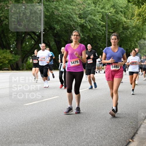 06.09.2026 - CURREX Alsterlauf Dr. Thomas Lammeyer http://msf.ph/oto/10116903 06.09.2026 09:14:02 Laufen 8243, 5328, 5475, 8017, 4872, 5539, 5492, 2195 meine-sportfotos.de