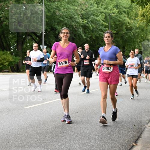06.09.2026 - CURREX Alsterlauf Dr. Thomas Lammeyer http://msf.ph/oto/10116906 06.09.2026 09:14:02 Laufen 288, 5475, 8017, 4872, 5492, 5539, 2195 meine-sportfotos.de