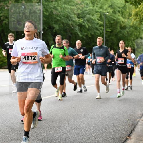 06.09.2026 - CURREX Alsterlauf Dr. Thomas Lammeyer http://msf.ph/oto/10116928 06.09.2026 09:14:05 Laufen 8017, 64, 4872, 2775, 778, 5539 meine-sportfotos.de