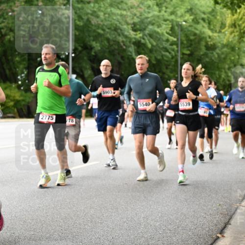06.09.2026 - CURREX Alsterlauf Dr. Thomas Lammeyer http://msf.ph/oto/10116935 06.09.2026 09:14:06 Laufen 3529, 2775, 78, 5903, 5540, 5539, 5519 meine-sportfotos.de