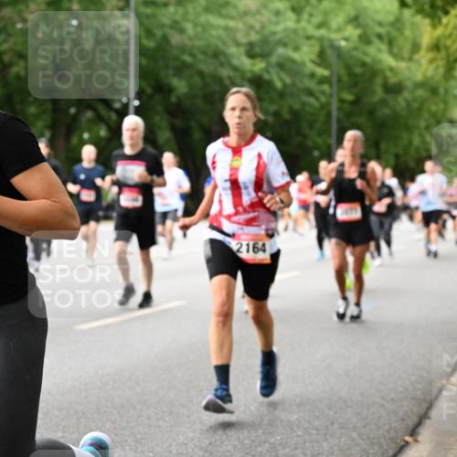 06.09.2026 - CURREX Alsterlauf Dr. Thomas Lammeyer http://msf.ph/oto/10117057 06.09.2026 09:14:21 Laufen 5728, 2164 meine-sportfotos.de