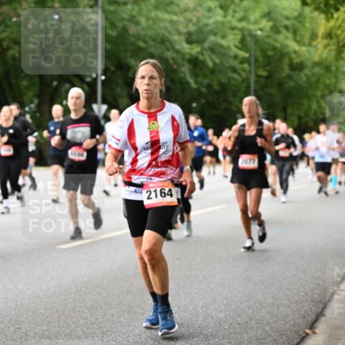 06.09.2026 - CURREX Alsterlauf Dr. Thomas Lammeyer http://msf.ph/oto/10117060 06.09.2026 09:14:21 Laufen 816, 2164, 2077 meine-sportfotos.de
