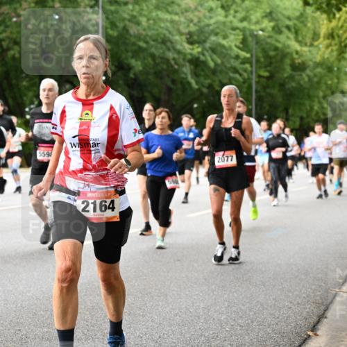 06.09.2026 - CURREX Alsterlauf Dr. Thomas Lammeyer http://msf.ph/oto/10117063 06.09.2026 09:14:22 Laufen 559, 2164, 59, 2077 meine-sportfotos.de